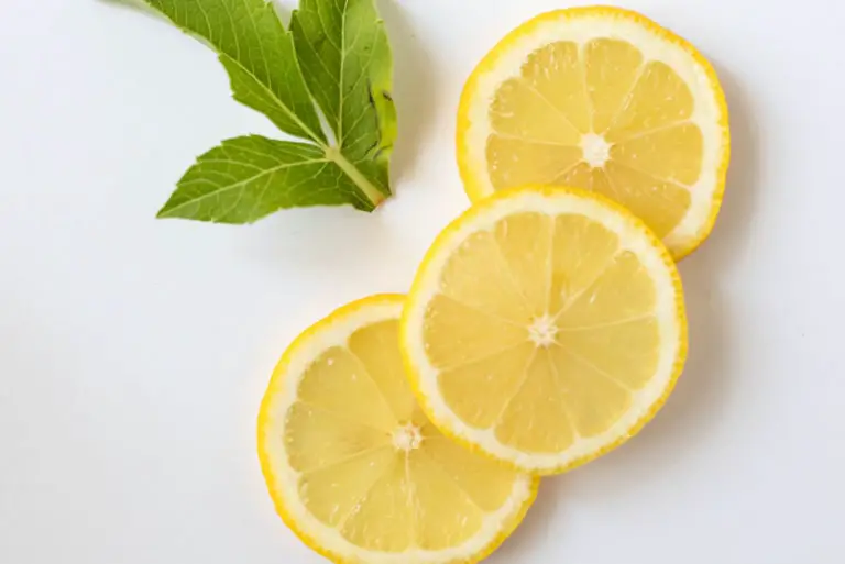 레몬 디톡스 다이어트 방법 5가지