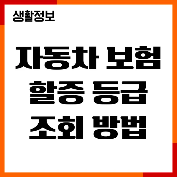 자동차 보험 할증 등급 조회 방법, 특약정보, 할인혜택