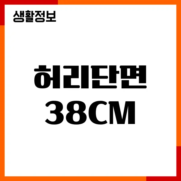 허리단면 38cm 몇 인치일까요 정확한 계산 방법